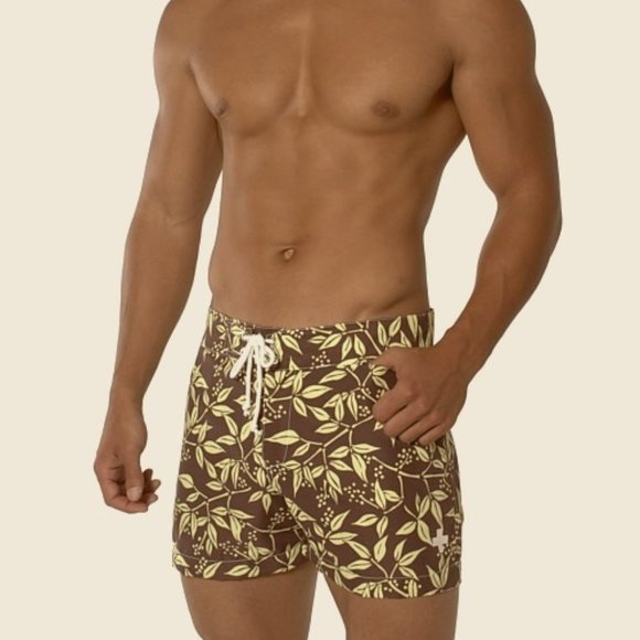 Andrew Christian Other - Andrew Christian Bamboo Swim Shorts size: 36